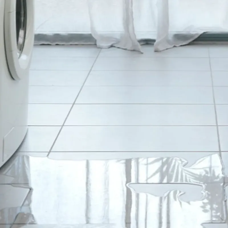 Appliance Leak Cleanup in Highland, AR