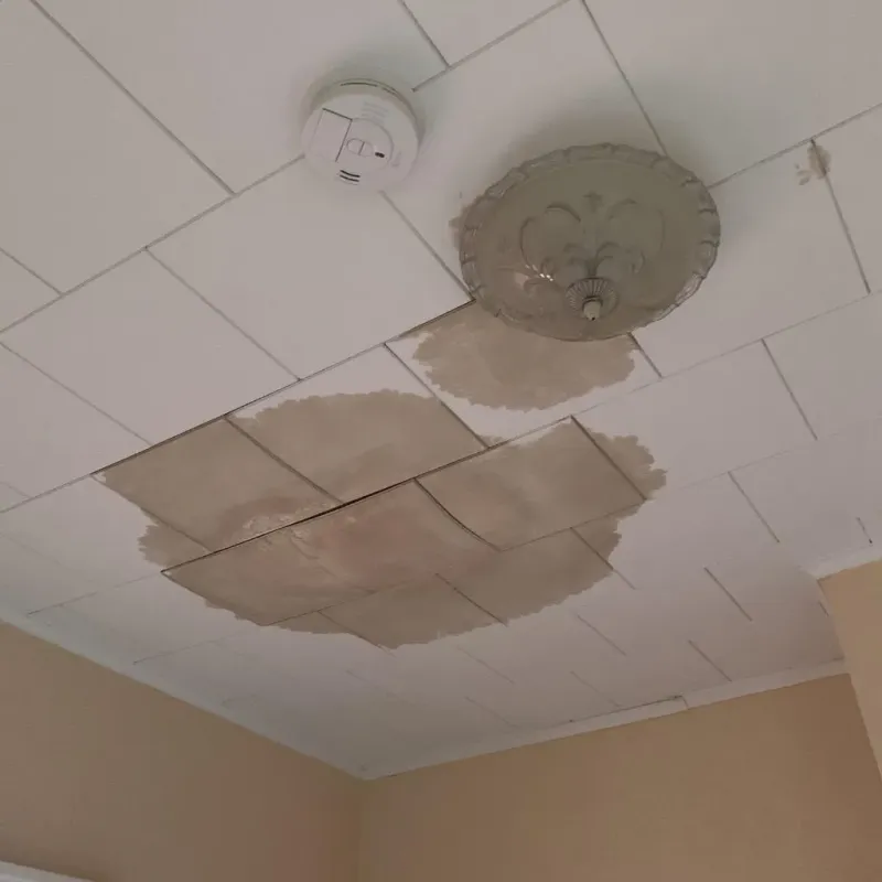 Ceiling Water Damage Repair in Highland, AR