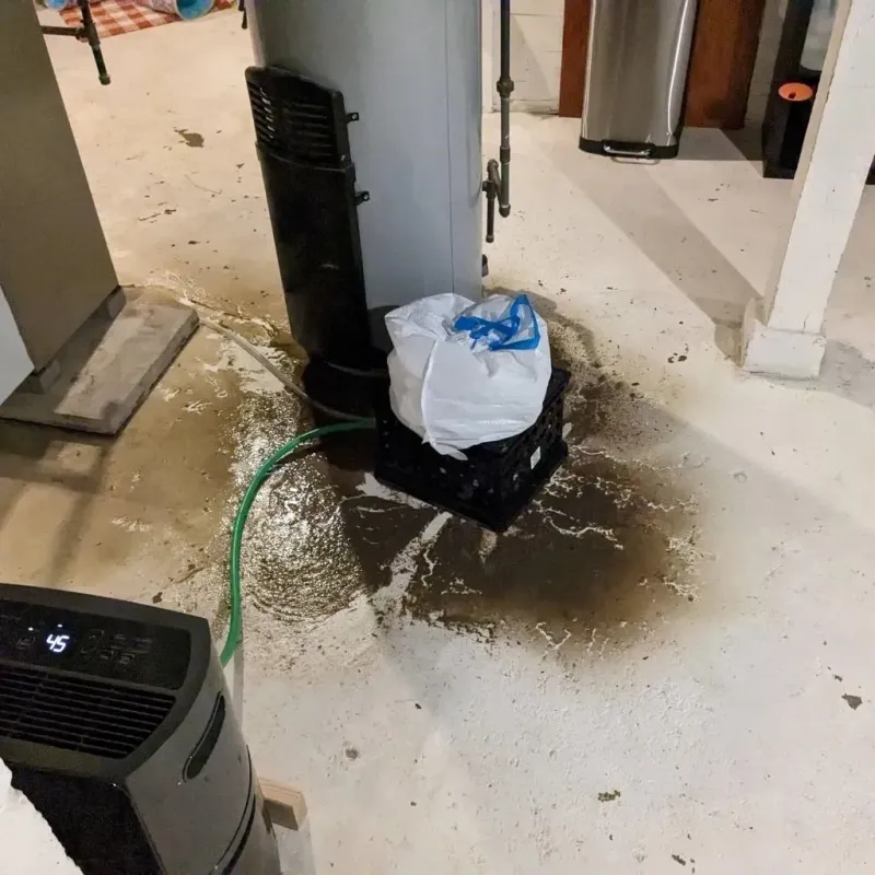 Sewage Backup Cleanup Service in Highland, AR